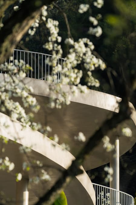 Buzzy Sunny· Feixue Pavilion